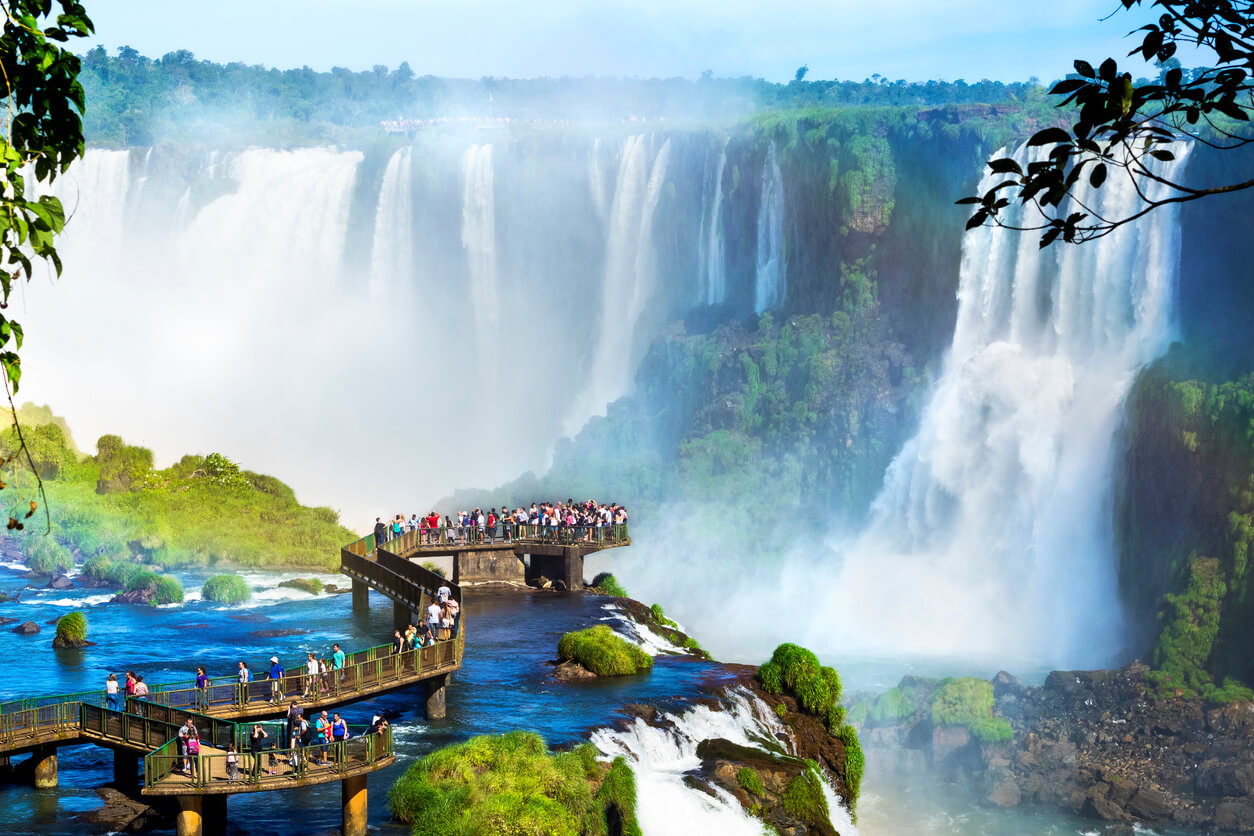 Iguazú forest