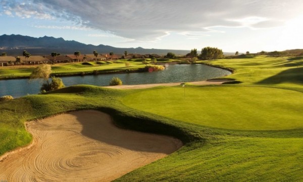 Mesquite