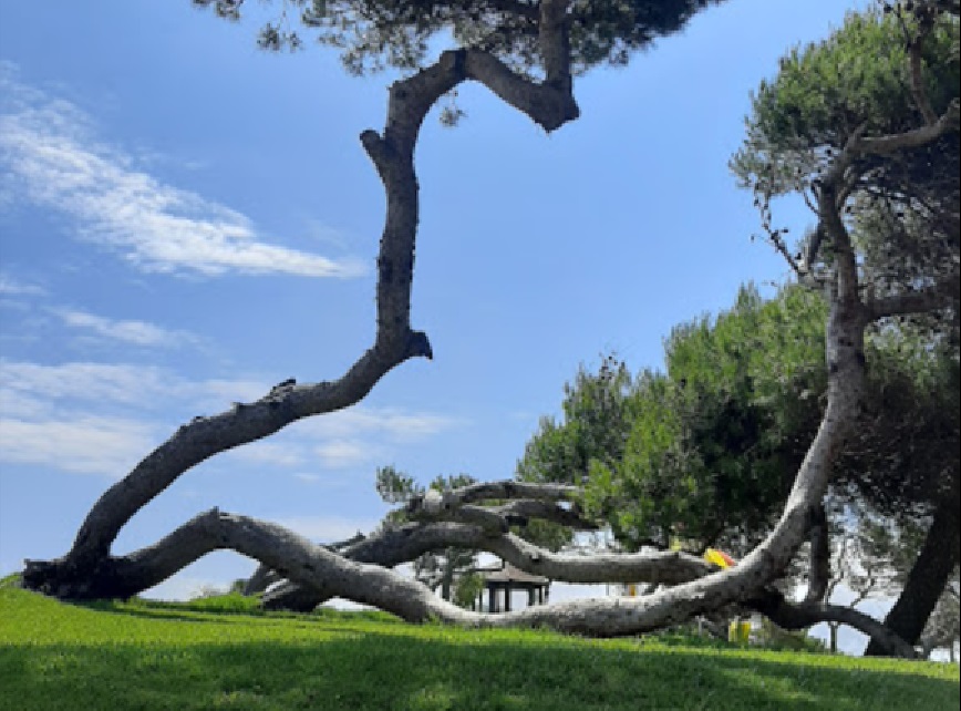 Campo de Golf El Saler